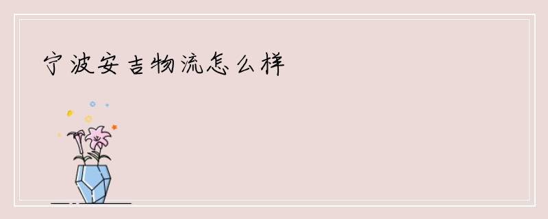 宁波安吉物流怎么样