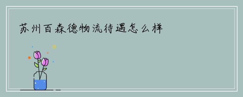 苏州百森德物流待遇怎么样