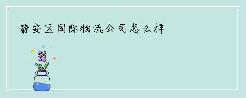 静安区国际物流公司怎么样