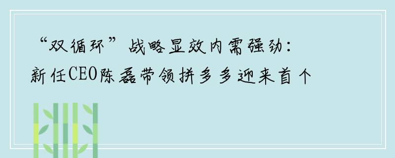 “双循环”战略显效内需强劲：新任CEO陈磊带领拼多多迎来首个盈利季度