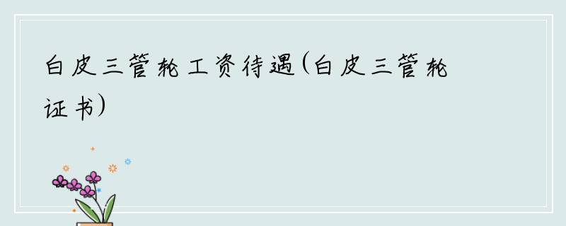 白皮三管轮工资待遇(白皮三管轮证书)