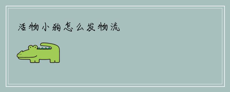 活物小狗怎么发物流