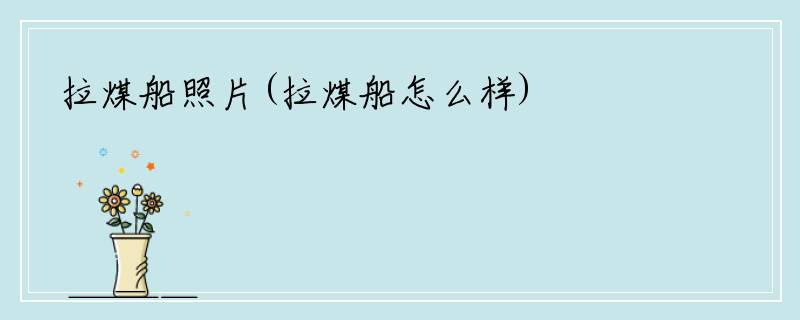 拉煤船照片(拉煤船怎么样)