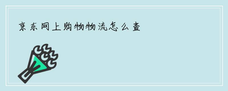 京东网上购物物流怎么查
