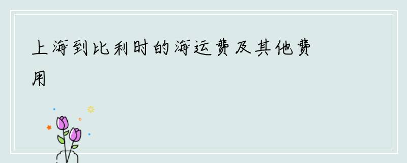 上海到比利时的海运费及其他费用