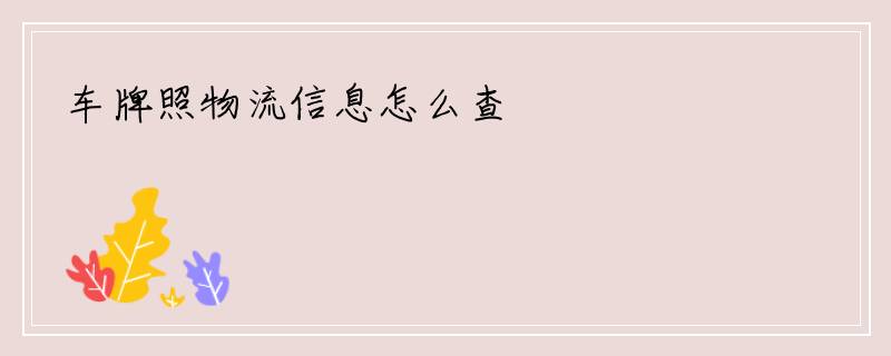 车牌照物流信息怎么查
