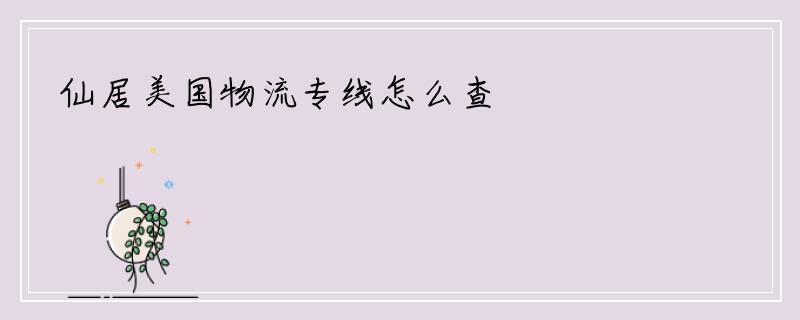 仙居美国物流专线怎么查