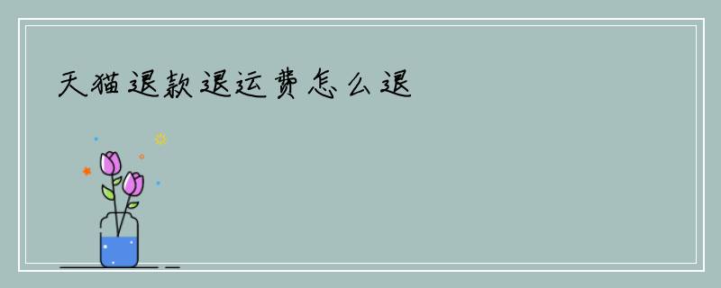 天猫退款退运费怎么退