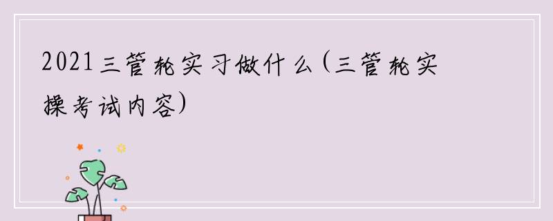 2021三管轮实习做什么(三管轮实操考试内容)