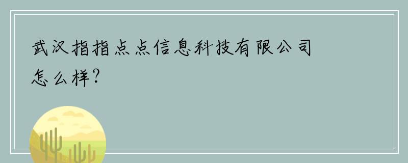 武汉指指点点信息科技有限公司怎么样？