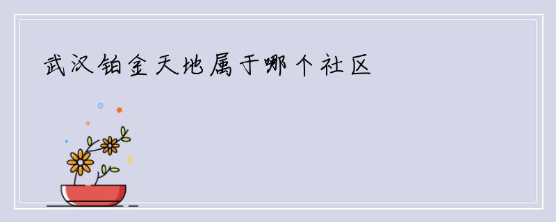 武汉铂金天地属于哪个社区