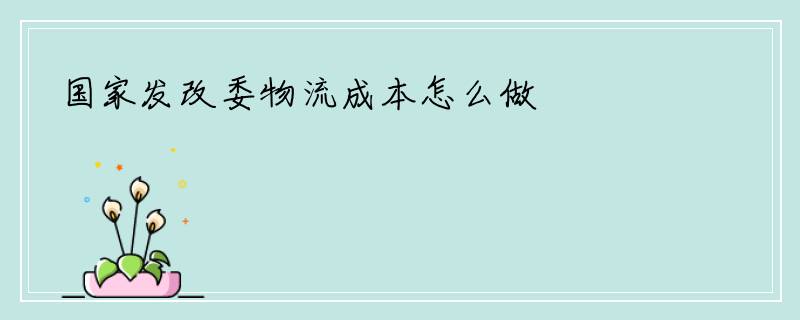 国家发改委物流成本怎么做