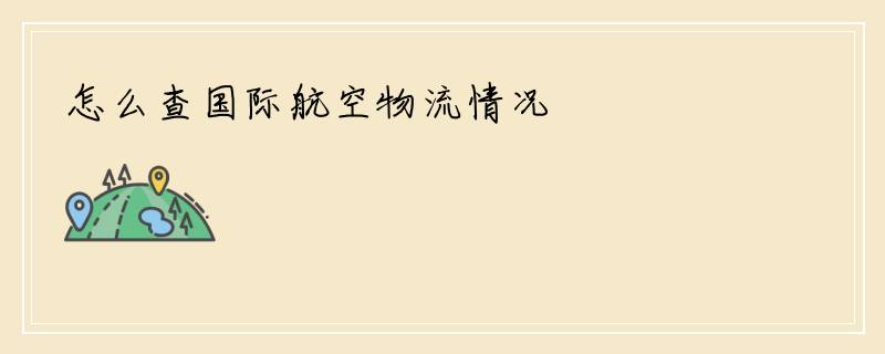 怎么查国际航空物流情况