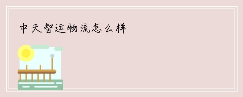 中天智运物流怎么样