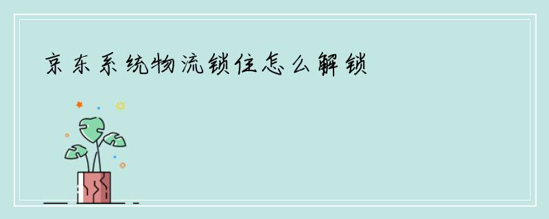 京东系统物流锁住怎么解锁