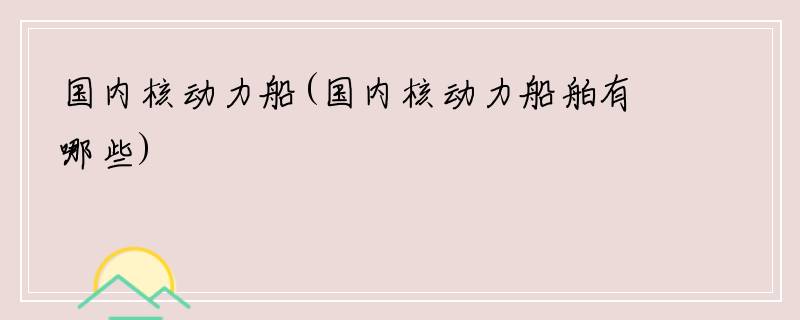 国内核动力船(国内核动力船舶有哪些)