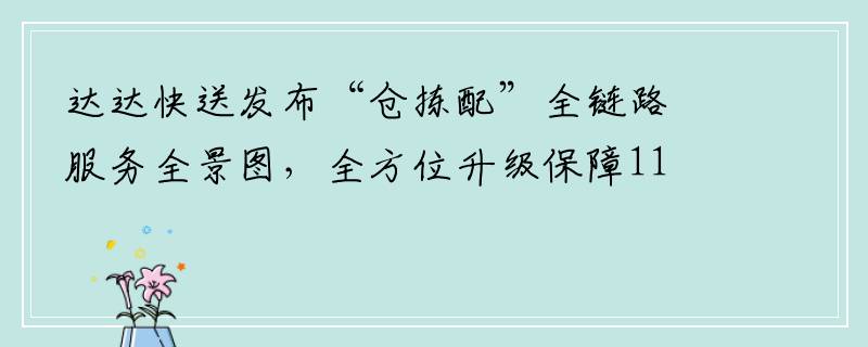 达达快送发布“仓拣配”全链路服务全景图，全方位升级保障11.11即时履约
