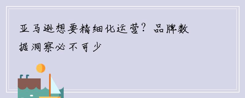 亚马逊想要精细化运营？品牌数据洞察必不可少