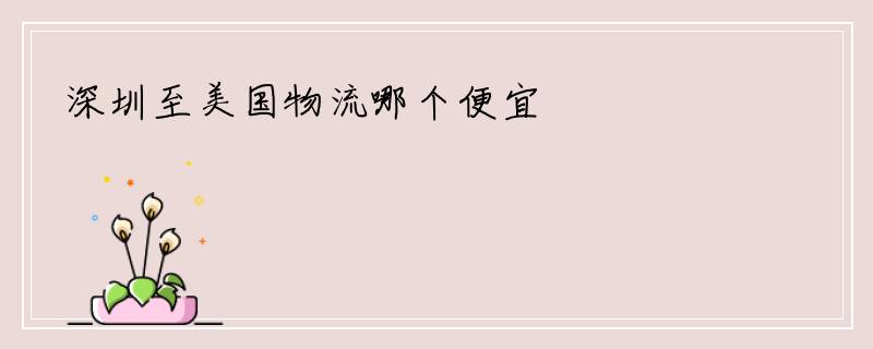 深圳至美国物流哪个便宜