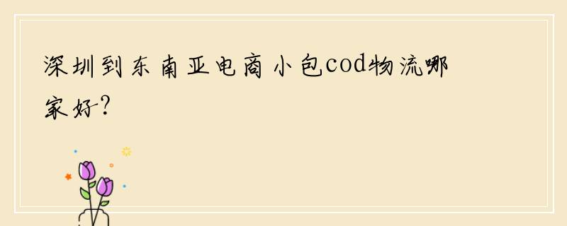 深圳到东南亚电商小包cod物流哪家好？