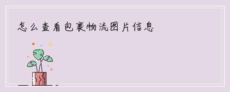 怎么查看包裹物流图片信息