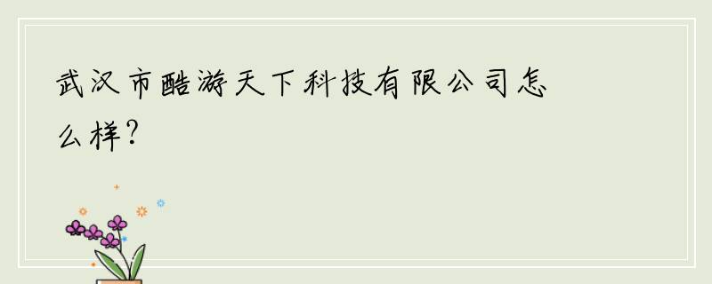 武汉市酷游天下科技有限公司怎么样？