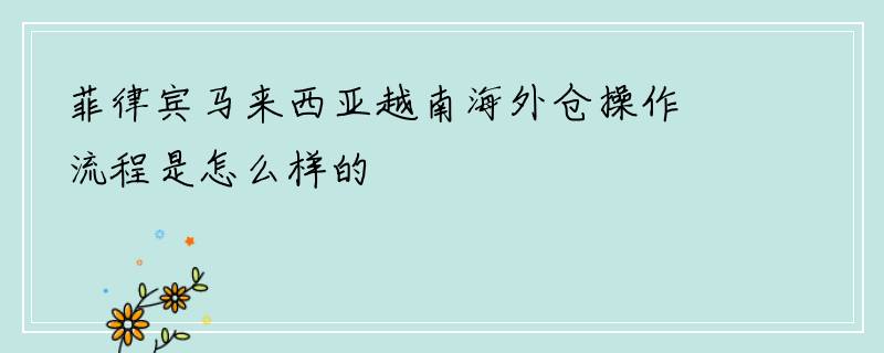 菲律宾马来西亚越南海外仓操作流程是怎么样的