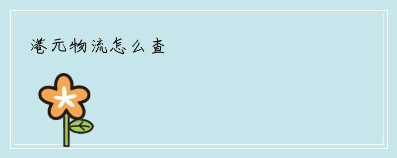 港元物流怎么查