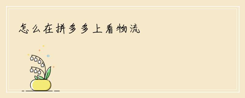 怎么在拼多多上看物流