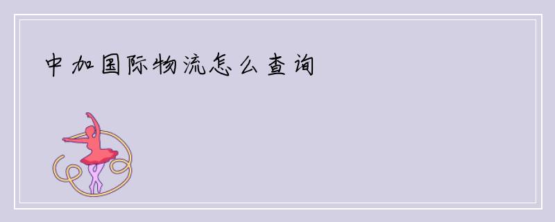 中加国际物流怎么查询