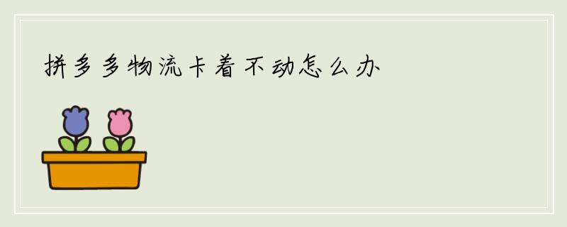 拼多多物流卡着不动怎么办