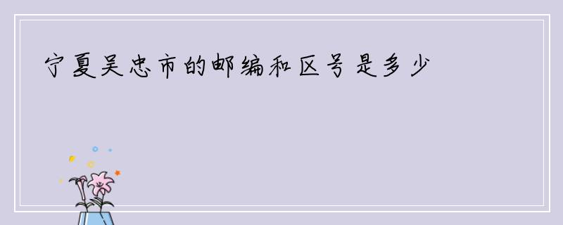 宁夏吴忠市的邮编和区号是多少