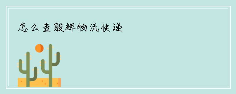 怎么查骏辉物流快递
