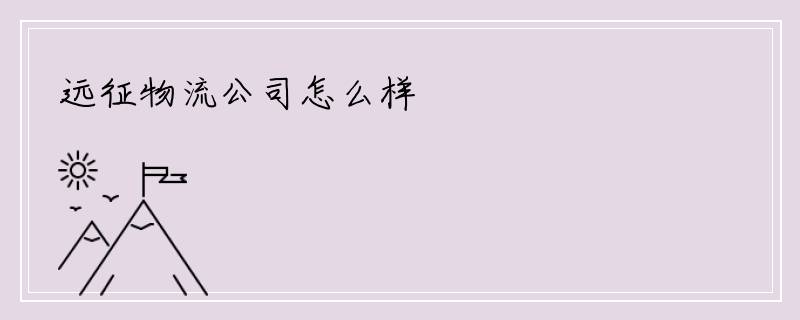 远征物流公司怎么样