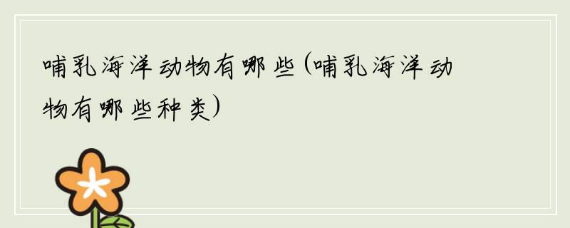 哺乳海洋动物有哪些(哺乳海洋动物有哪些种类)