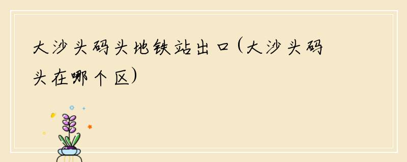 大沙头码头地铁站出口(大沙头码头在哪个区)