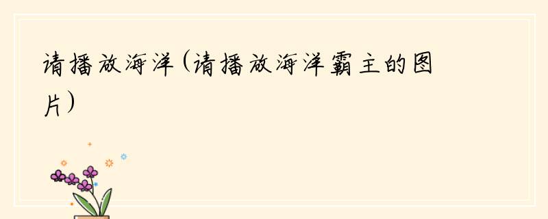 请播放海洋(请播放海洋霸主的图片)