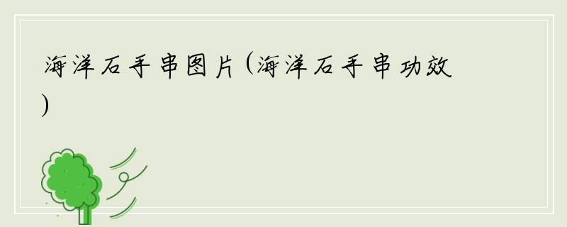海洋石手串图片(海洋石手串功效)