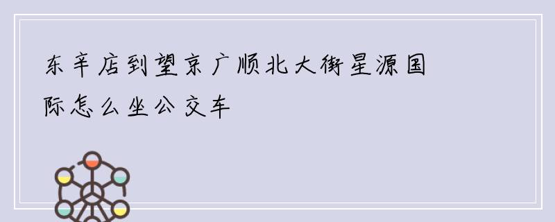东辛店到望京广顺北大街星源国际怎么坐公交车