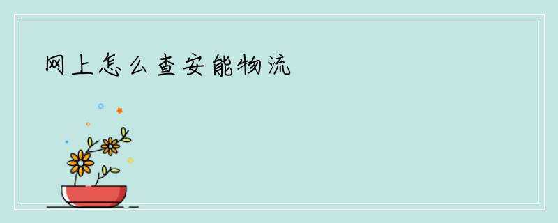 网上怎么查安能物流