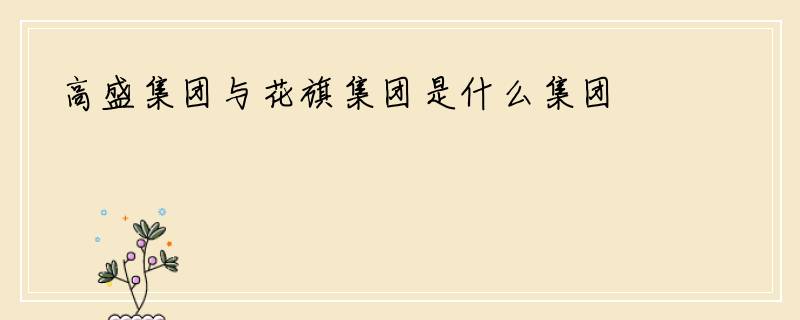 高盛集团与花旗集团是什么集团