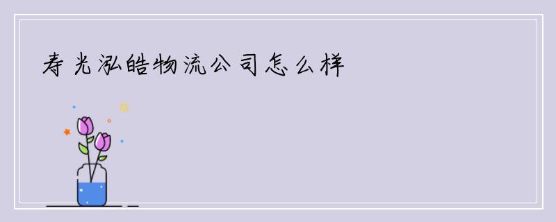 寿光泓皓物流公司怎么样