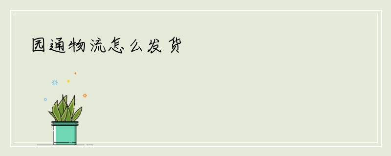 园通物流怎么发货