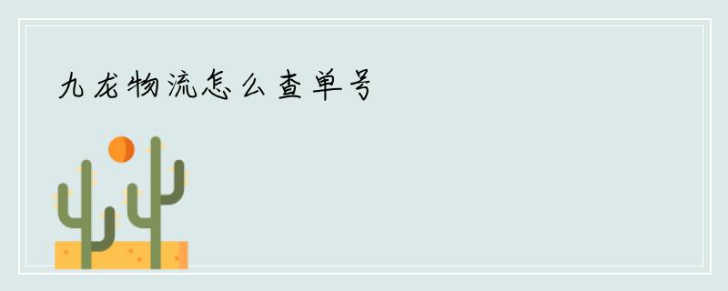 九龙物流怎么查单号