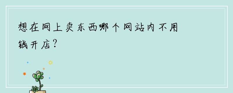想在网上卖东西哪个网站内不用钱开店？