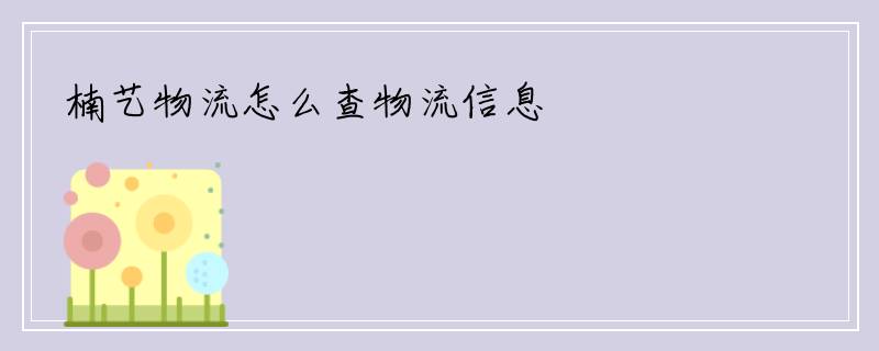 楠艺物流怎么查物流信息