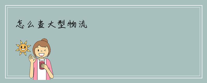 怎么查大型物流