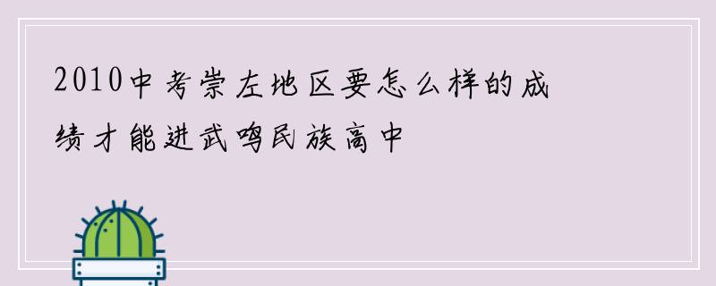 2010中考崇左地区要怎么样的成绩才能进武鸣民族高中