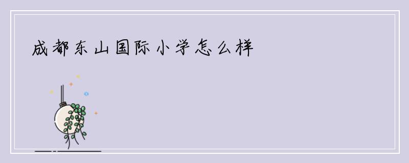 成都东山国际小学怎么样