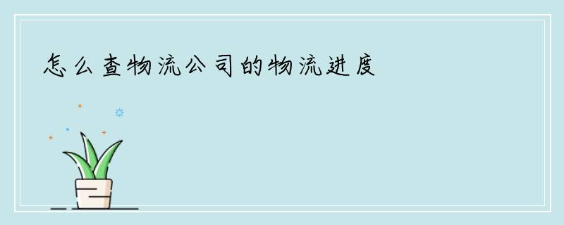 怎么查物流公司的物流进度